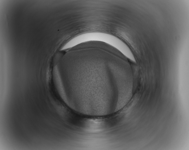 X0000088480164200706121537