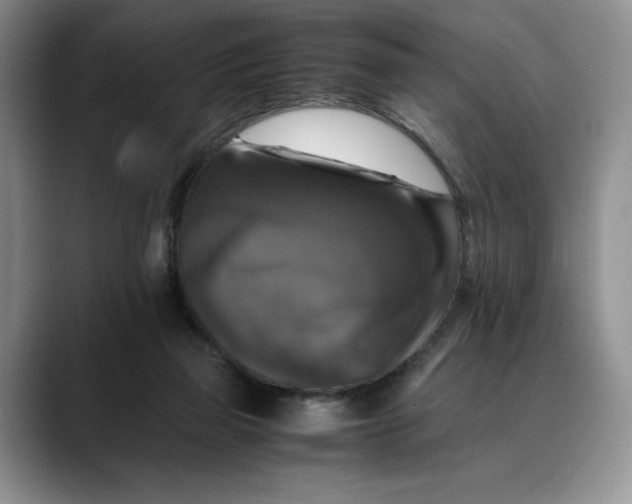 X0000088480165200706121537