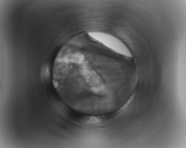 X0000088480166200706121537