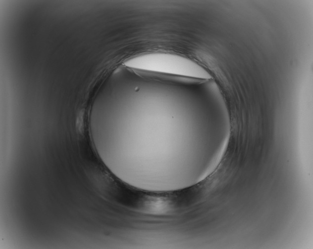 X0000088480167200706121537