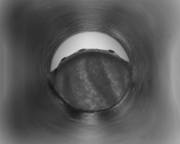 X0000088480170200706121537