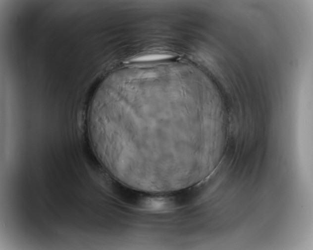 X0000088480171200706121537