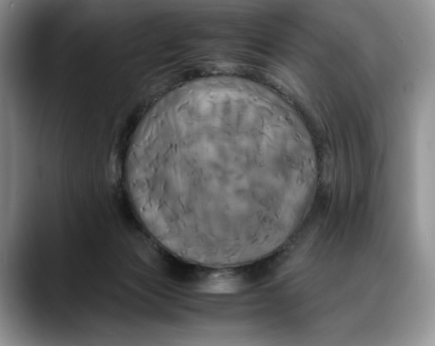 X0000088480173200706121537