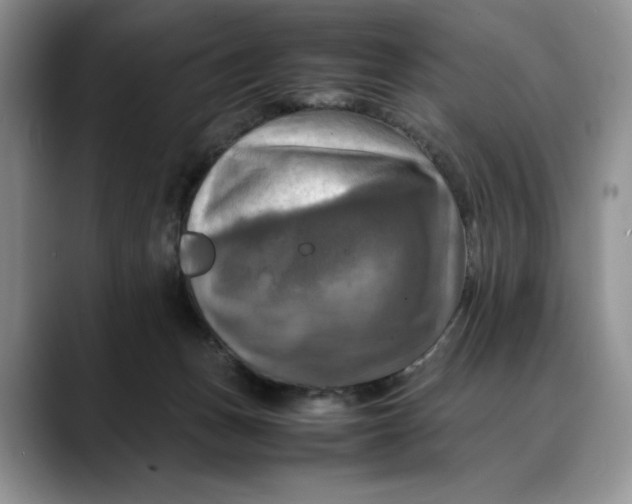 X0000088480175200706121537