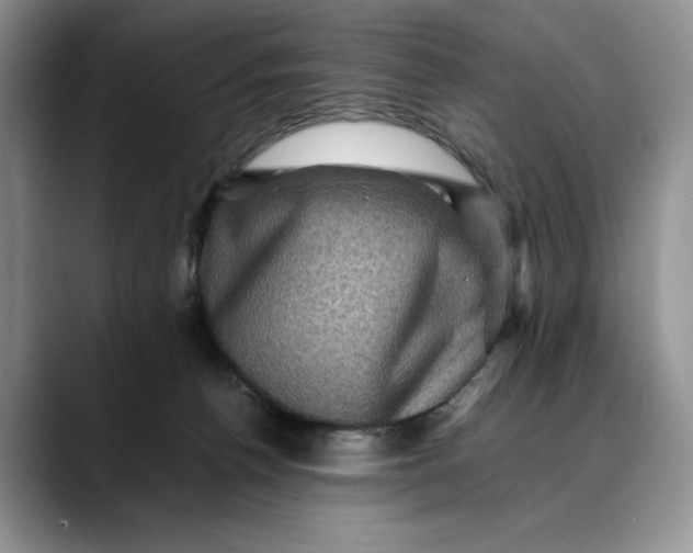 X0000088480176200706121537