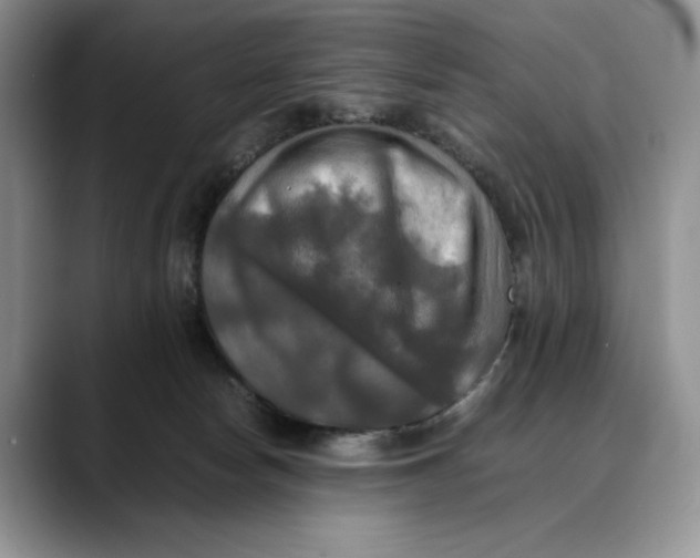 X0000088480178200706121537