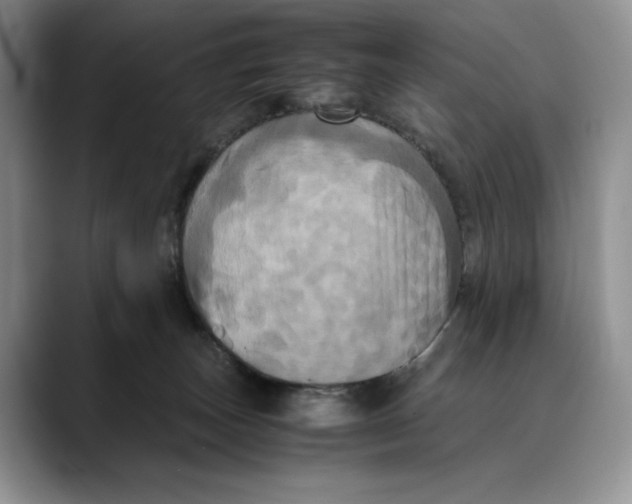 X0000088480179200706121537