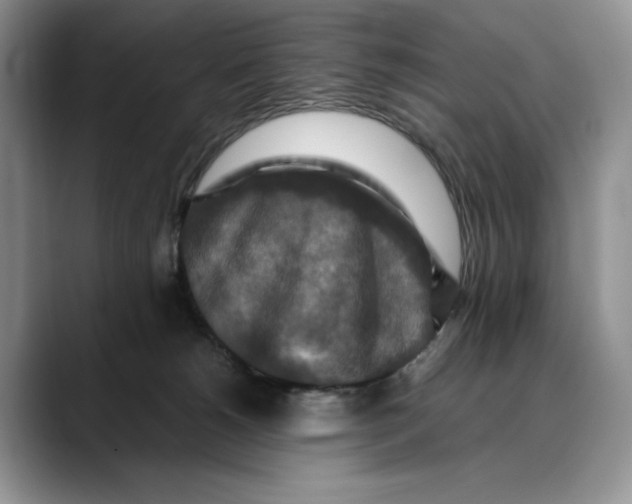 X0000088480180200706121537