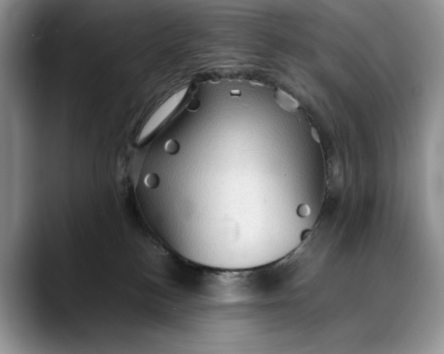 X0000088480184200706121537