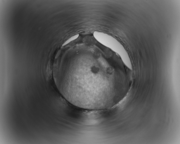 X0000088480186200706121537