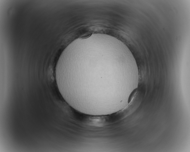 X0000088480187200706121537