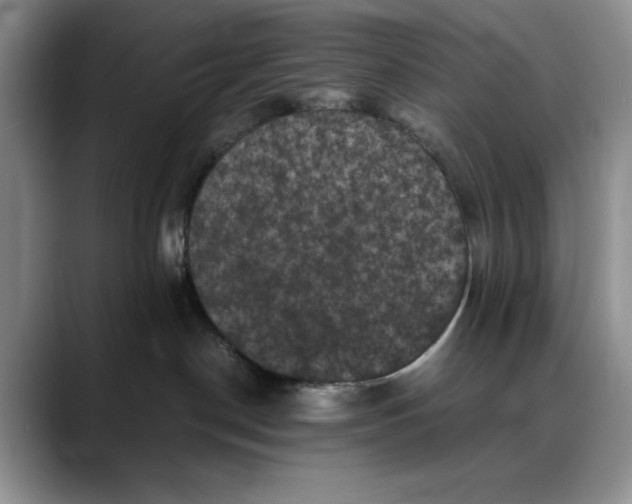 X0000088480190200706121537