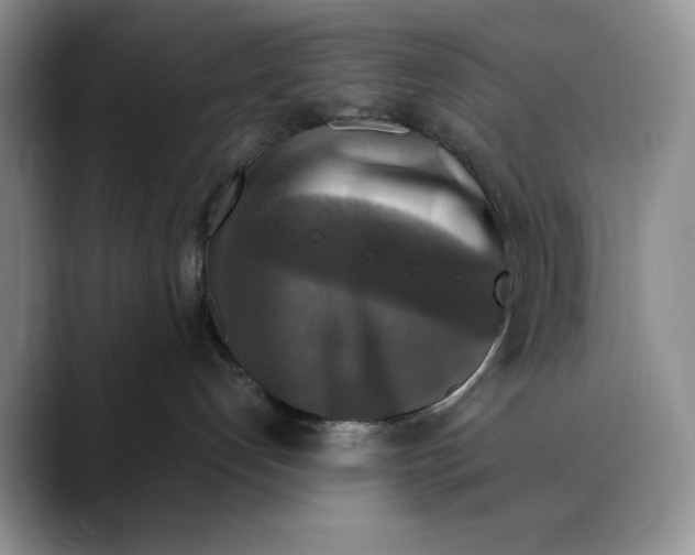 X0000088480192200706121537