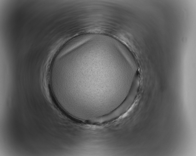 X0000088480193200706121537