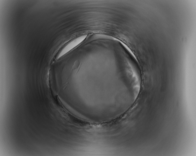 X0000088480194200706121537