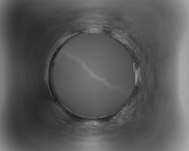 X0000088480195200706121537