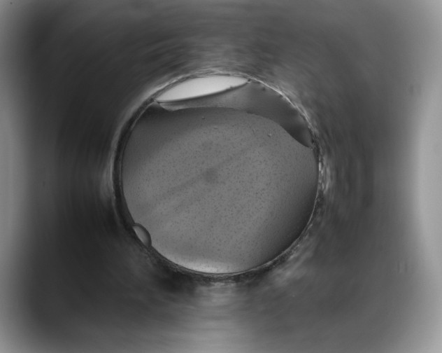 X0000088480196200706121537