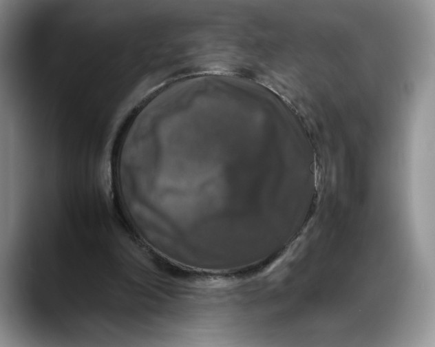 X0000088480198200706121537