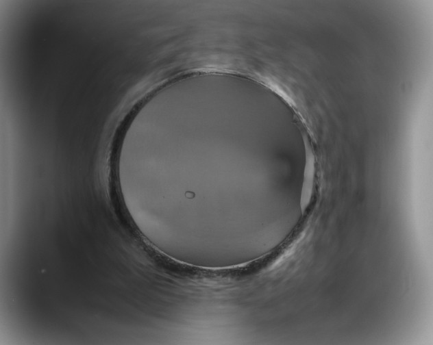 X0000088480199200706121537