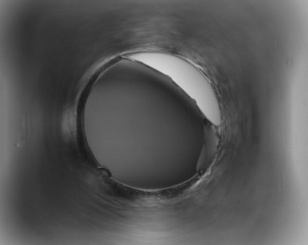 X0000088480200200706121537