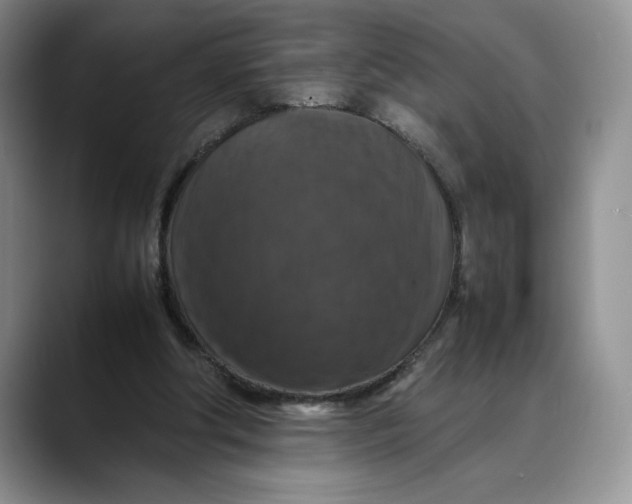 X0000088480202200706121537