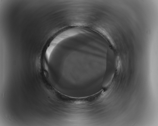 X0000088480204200706121537