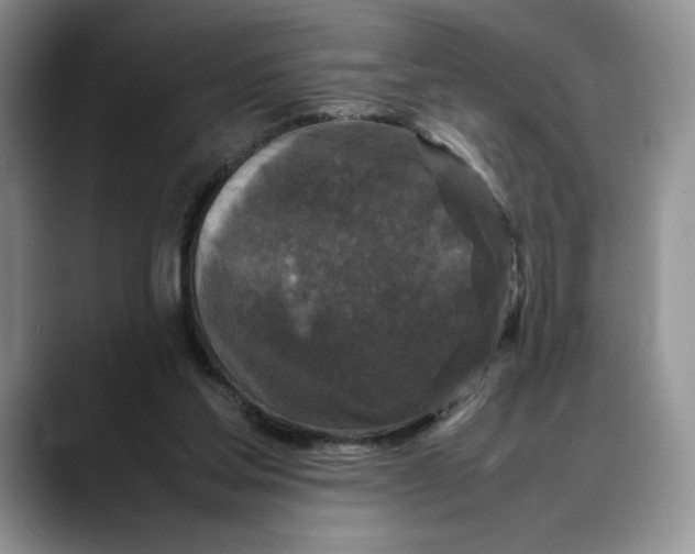 X0000088480205200706121537