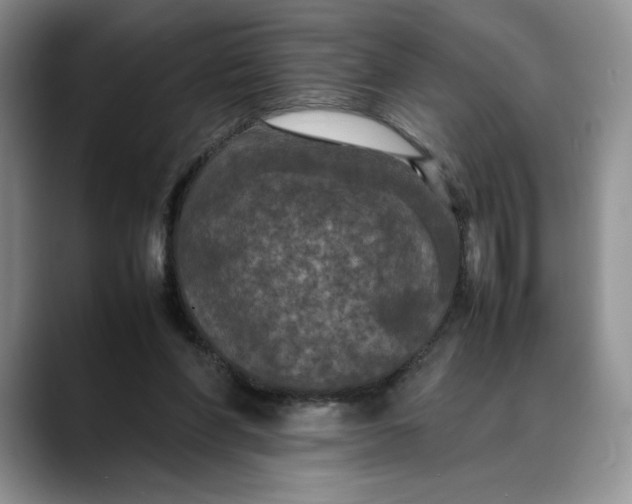 X0000088480206200706121537