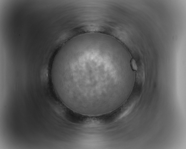 X0000088480207200706121537