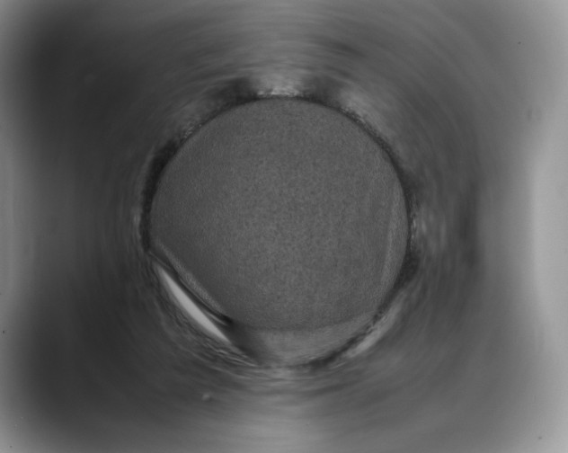 X0000088480209200706121537