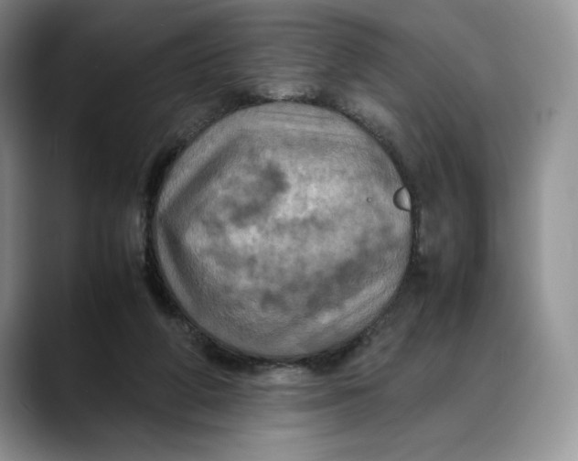 X0000088480210200706121537