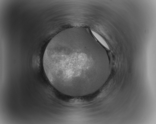 X0000088480211200706121537