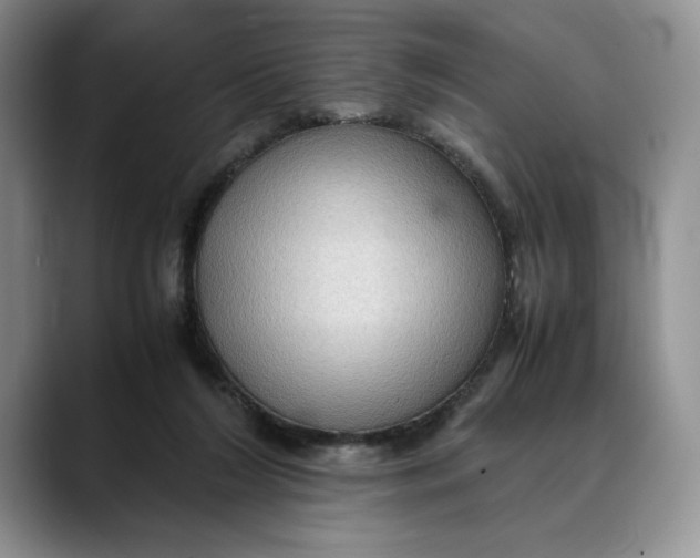 X0000088480212200706121536