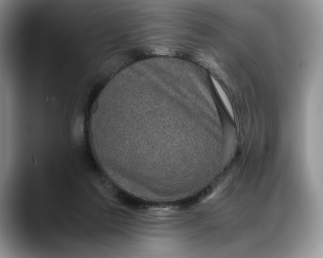 X0000088480213200706121536