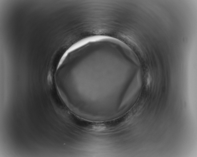 X0000088480214200706121536