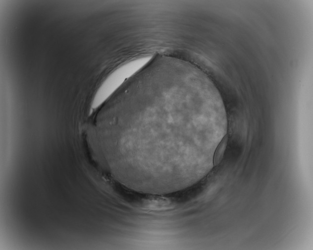 X0000088480215200706121536