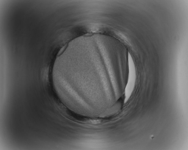 X0000088480217200706121536