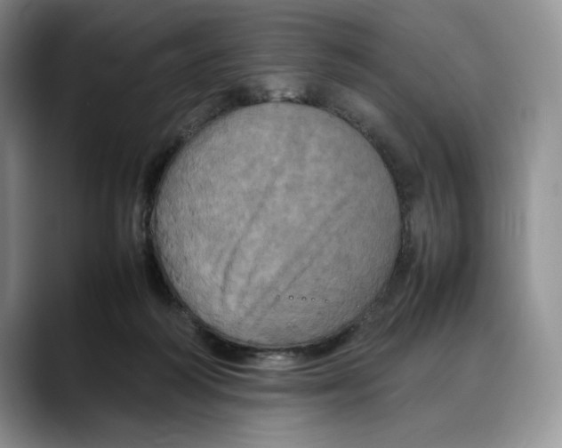 X0000088480218200706121536