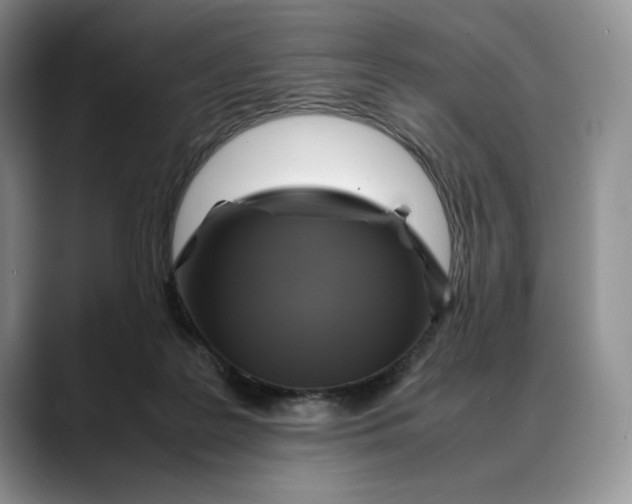 X0000088480219200706121536