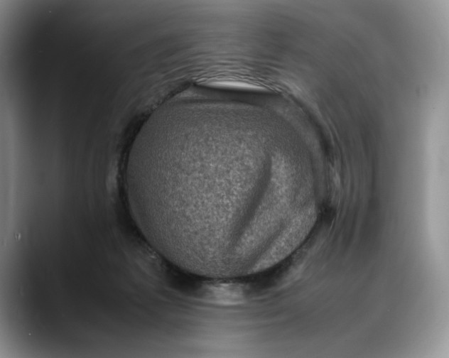 X0000088480221200706121536