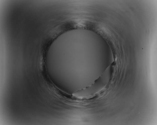 X0000088480223200706121536