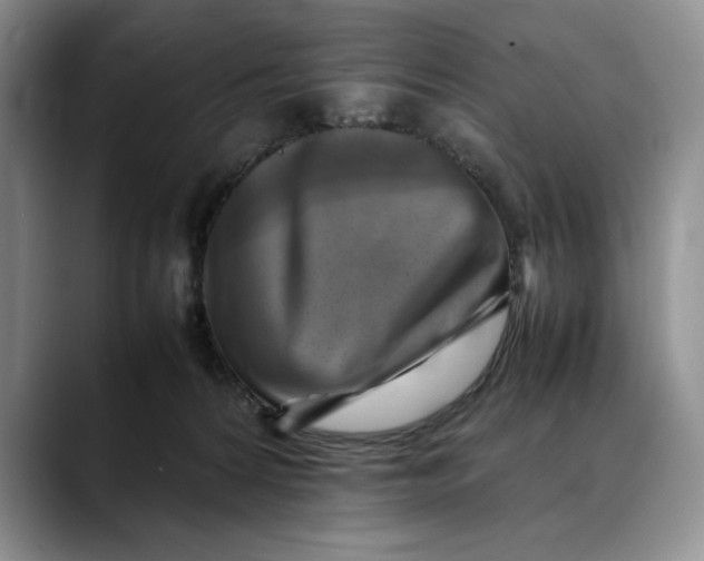 X0000088480224200706121536