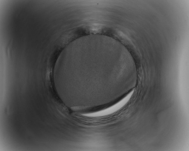 X0000088480225200706121536