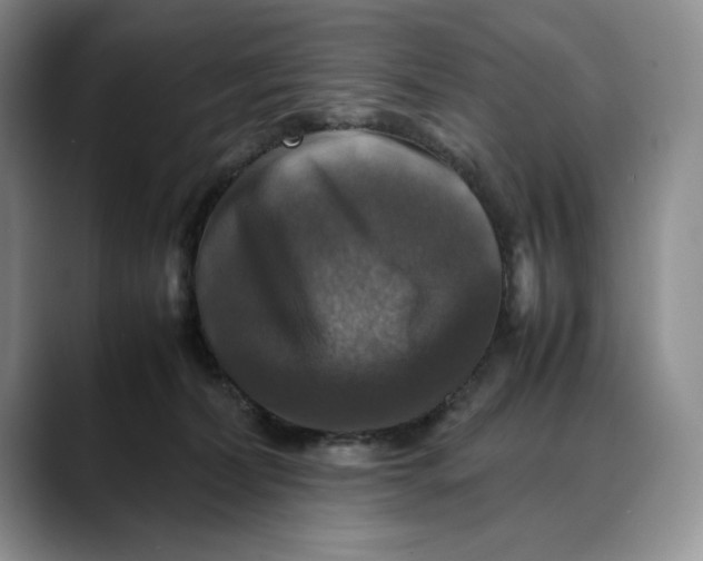 X0000088480228200706121536