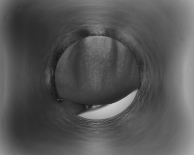 X0000088480229200706121536