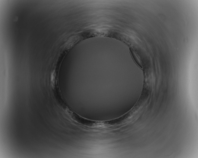 X0000088480231200706121536