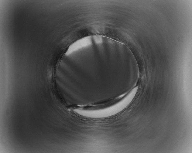 X0000088480233200706121536