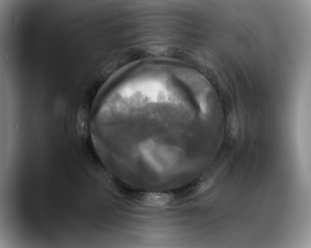 X0000088480234200706121536