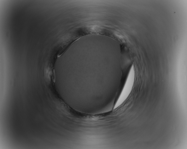 X0000088480235200706121536