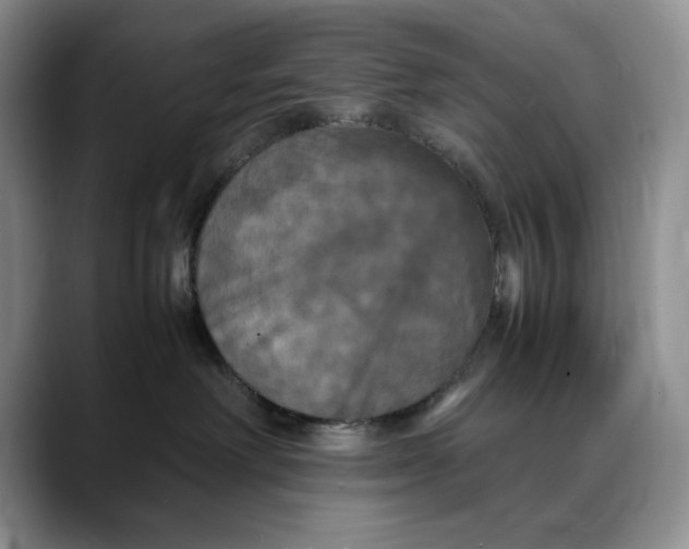 X0000088480238200706121536